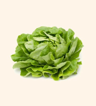 eco friendly Paudha Organic Pudina mint (67 per packet)