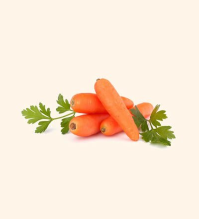 Trustbasket Red Carrot OP, Desi Carrots With Free Germination Potting